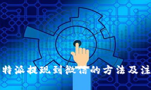 详解比特派提现到微信的方法及注意事项