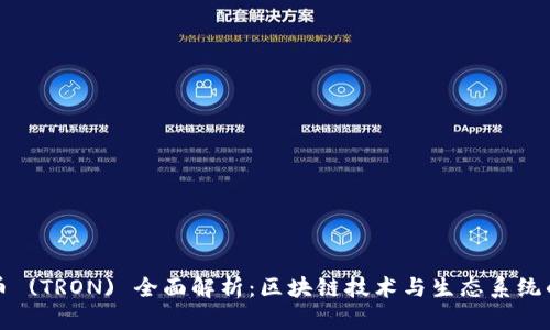 波场币 (TRON) 全面解析：区块链技术与生态系统的未来