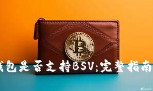 Ledger冷钱包是否支持BSV：完整指南与使用技巧