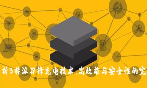全面解析B特派刀锋充电技术：高效能与安全性的完美结合