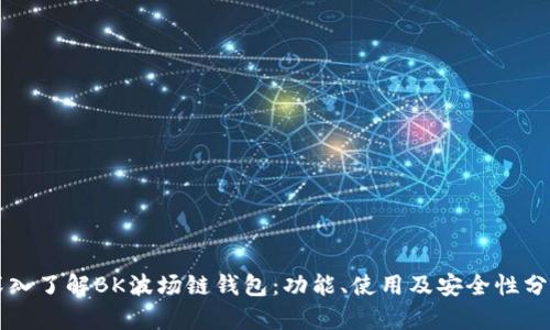 深入了解BK波场链钱包：功能、使用及安全性分析