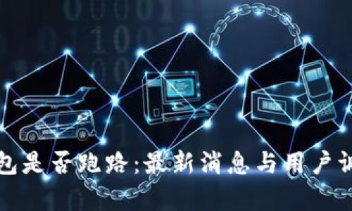 BitP钱包是否跑路：最新消息与用户调查分析