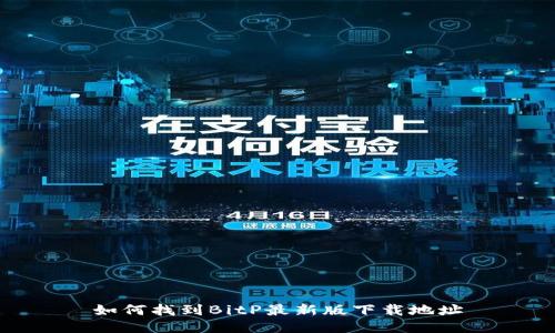如何找到BitP最新版下载地址