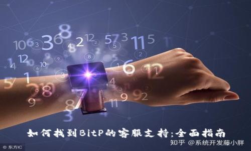 如何找到BitP的客服支持:全面指南