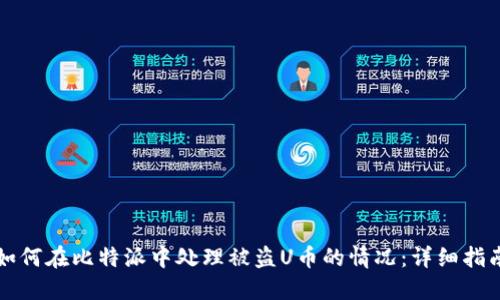 如何在比特派中处理被盗U币的情况：详细指南