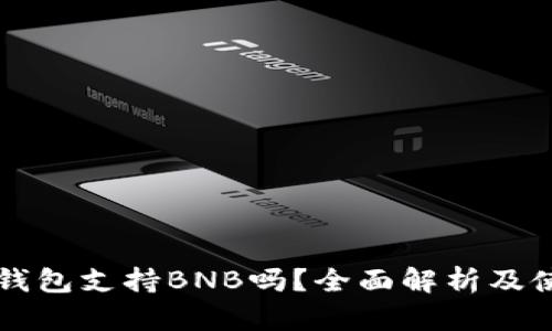 比特派钱包支持BNB吗？全面解析及使用指南