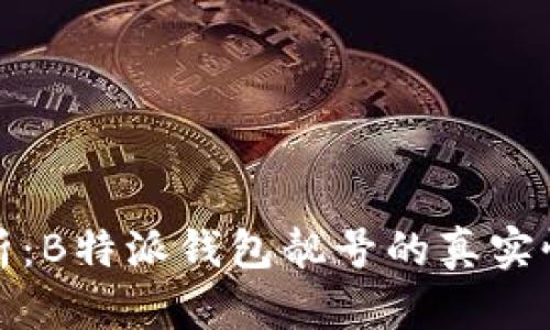 深入解析：B特派钱包靓号的真实性与价值