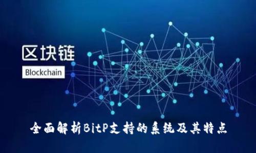 全面解析BitP支持的系统及其特点