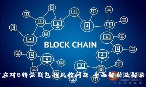 如何应对B特派钱包的风控问题：全面解析及解决方案