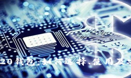 全面解析BEP-20钱包：如何选择、使用及安全性注意事项