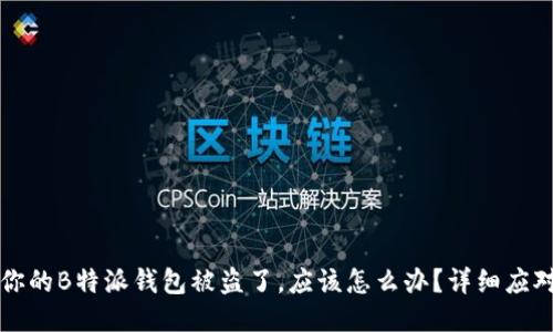 如果你的B特派钱包被盗了，应该怎么办？详细应对指南