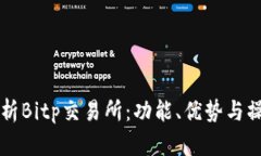 深入解析Bitp交易所：功能