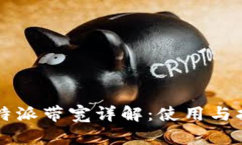 比特派带宽详解：使用与指南