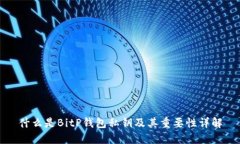 什么是BitP钱包私钥及其重