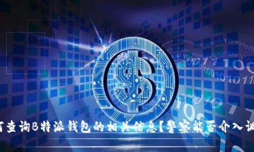 如何查询B特派钱包的相关信息？警察能否介入调查？