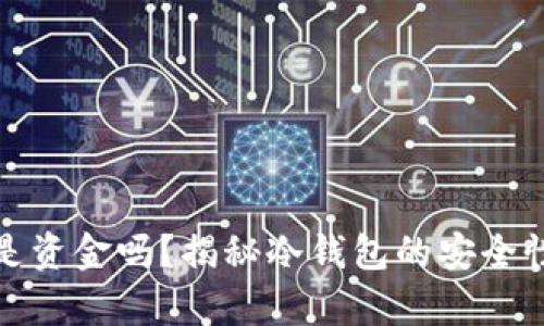 冷钱包存的是资金吗？揭秘冷钱包的安全性与使用技巧