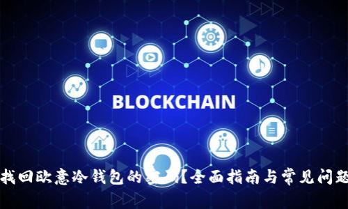 如何找回欧意冷钱包的密码?全面指南与常见问题解答