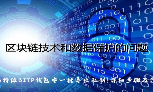 如何在B特派BITP钱包中一键导出私钥：详细步骤及注意事项