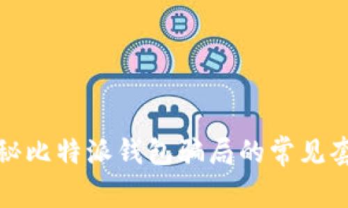 揭秘比特派钱包骗局的常见套路