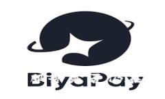 TOPAY支付服务是否仍在正常