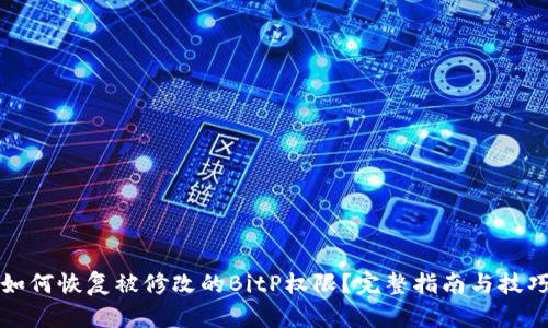 如何恢复被修改的BitP权限？完整指南与技巧
