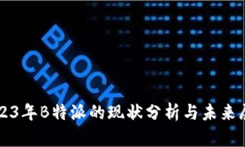 2023年B特派的现状分析与未来展望