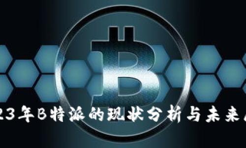 2023年B特派的现状分析与未来展望