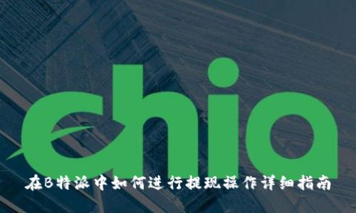 在B特派中如何进行提现操作详细指南
