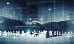 如何在iOS设备上安全下载