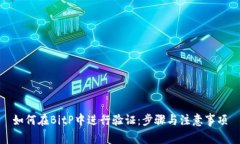 如何在BitP中进行验证：步