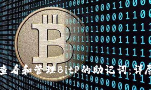 如何查看和管理BitP的助记词：详尽指南