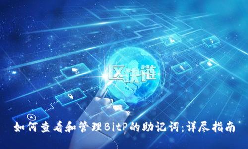 如何查看和管理BitP的助记词：详尽指南