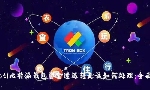 biasoti比特派钱包资金遭遇转走该如何处理：全面指南