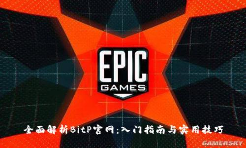 全面解析BitP官网：入门指南与实用技巧