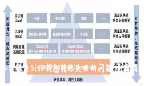 如何解决BitP钱包转账失败的问题：全面指南