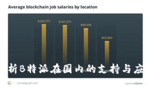 深入解析B特派在国内的支持与应用前景