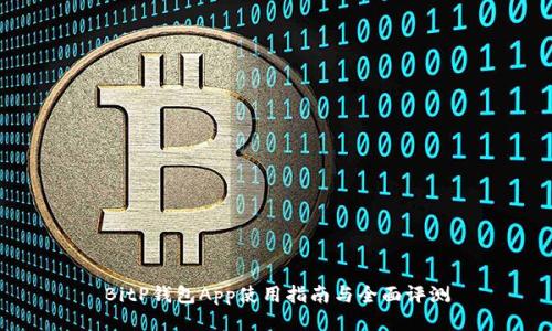 BitP钱包App使用指南与全面评测