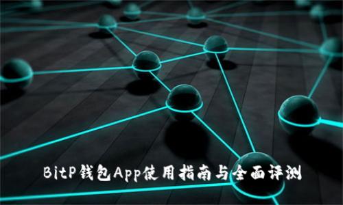 BitP钱包App使用指南与全面评测
