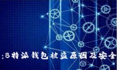 深入探讨：B特派钱包被盗
