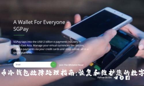 比特币冷钱包故障处理指南：恢复和维护您的数字资产