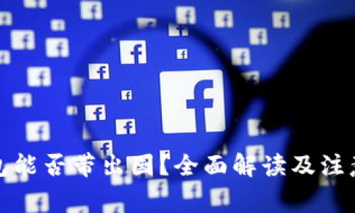 冷钱包能否带出国？全面解读及注意事项