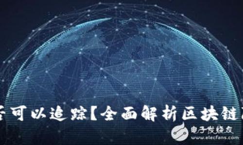 虚拟币交易是否可以追踪？全面解析区块链隐私与追踪技术