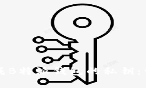 如何生成B特派钱包的私钥：详细指南