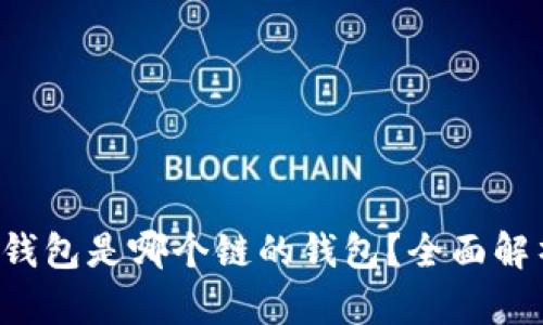 BK钱包是哪个链的钱包？全面解析 