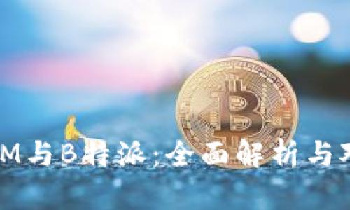 TPIM与B特派：全面解析与对比