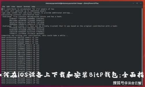 如何在iOS设备上下载和安装BitP钱包：全面指南