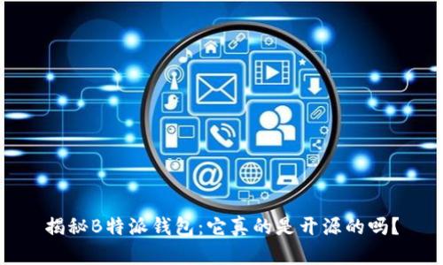 揭秘B特派钱包：它真的是开源的吗？