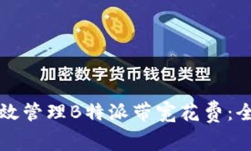 如何有效管理B特派带宽花费：全面指南