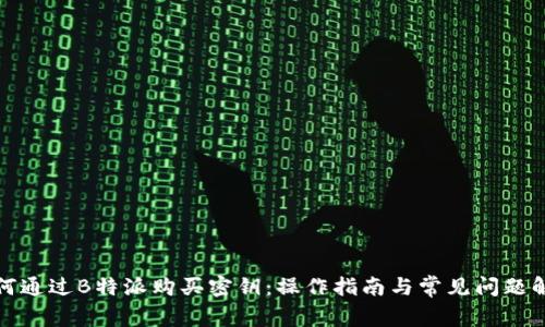 如何通过B特派购买密钥：操作指南与常见问题解答