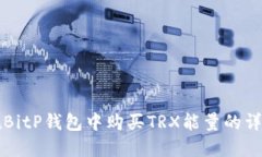 如何在BitP钱包中购买TRX能